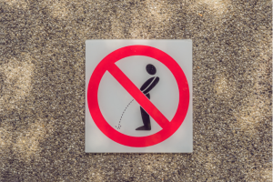 Ilustrasi dilaran buang air kecil di kolam renang.