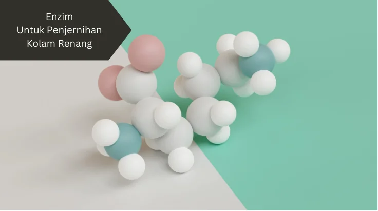 Ilustrasi enzim untuk penjernihan kolam renang. Ini penjelasannya.