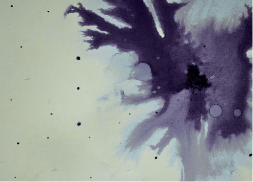 Noda Pada Finishing Plester Berikut Cara Mengatasinya