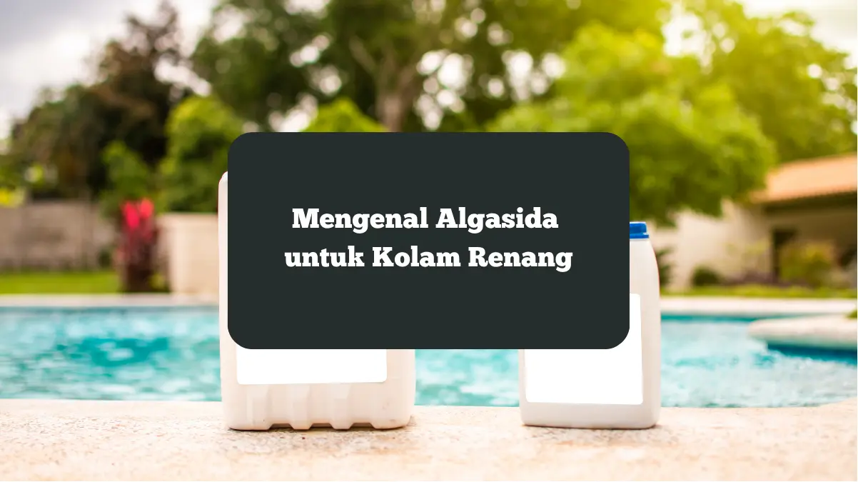 Ilustrasi Algasida untuk kolam renang. Mari mengenal lebih dalam.