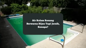 Ilustrasi air kolam renang berwarna hijau tapi jernih.