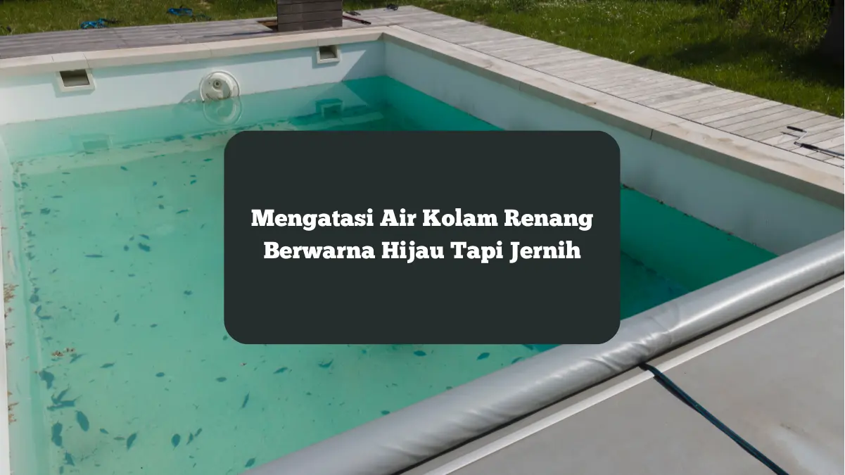 Ilustrasi air kolam renang berwarna hijau tapi jernih. Ini cara mengatasi hal tersebut.