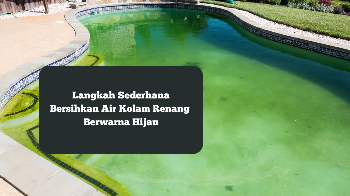 Ilustrasi air kolam renang berwarna hijau. Ini langkah sederhana yang bisa dilakukan untuk membersihkannya.