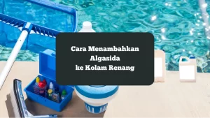 Ilustrasi algasida. Ini cara menambahkan ke kolam renang.