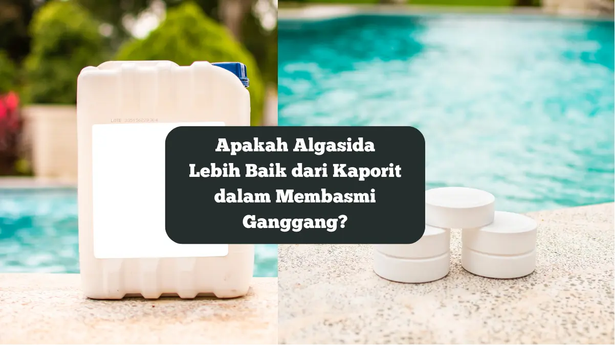 Ilustrasi algasida dan kaporit. Apakah algasida lebih baik dari kaporit.