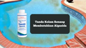 Ilustrasi algasida. Ini tanda kolam renang butuh algasida.