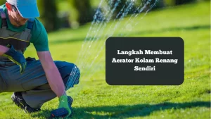 Ilustrasi instalasi aerator. Ini langkah membuat aerator kolam renang sendiri.