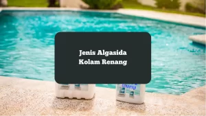 Ilustrasi jenis algasida. Mana yang cocok buat kolam renang.