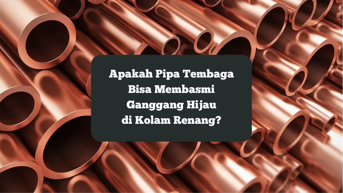 Ilustrasi pipa tembaga. Apakah bisa membasmi ganggang hijau kolam renang.