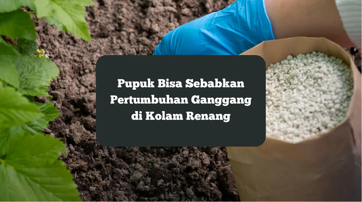 Ilustrasi pupuk tanaman. Hati-hati bisa jadi penyebab pertumbuhan ganggang di kolam renang.