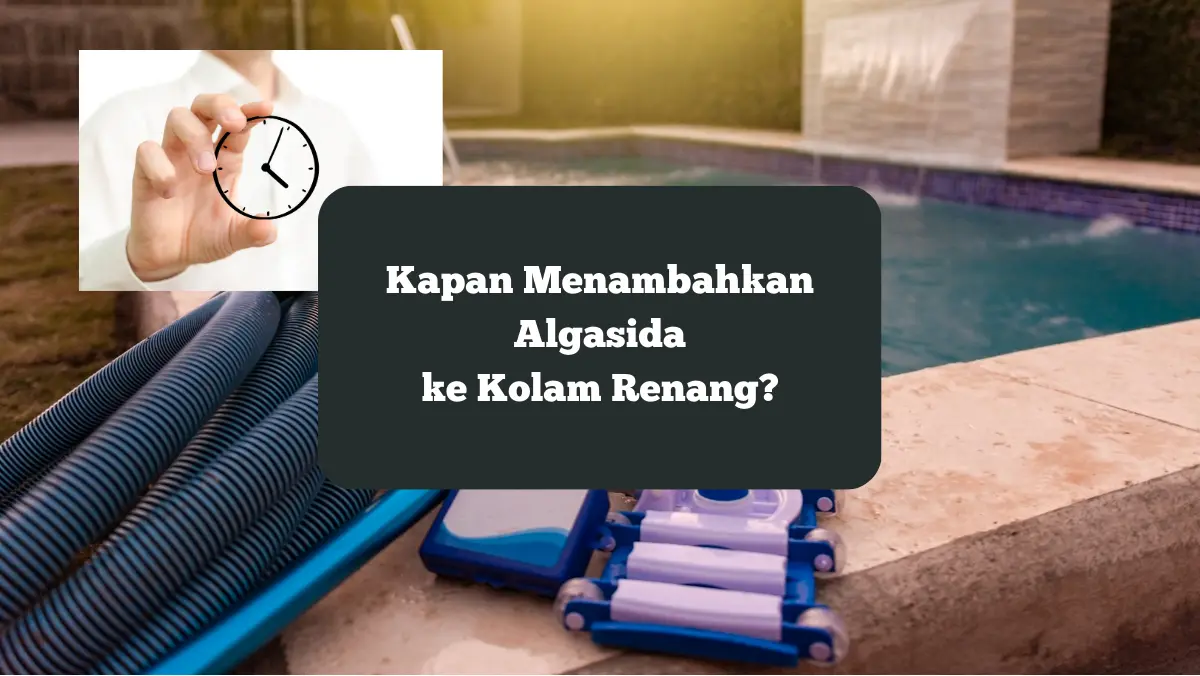 Ilustrasi waktu menambahkan algasida ke kolam renang.