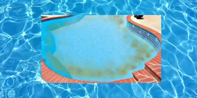 Bisakah Algasida Mengatasi Masalah Selain Ganggang Hijau?