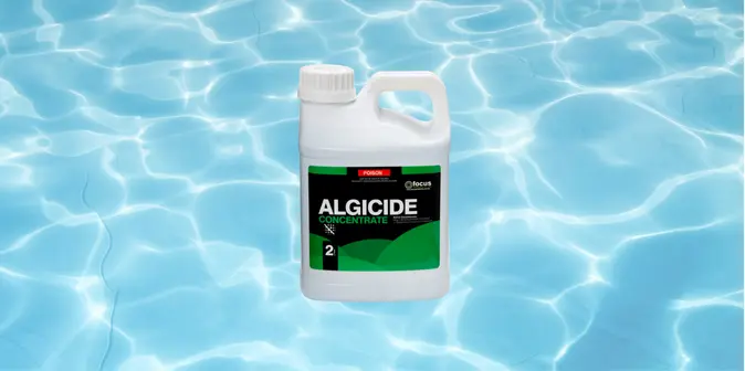 Jenis Algasida dan Mana yang Cocok Buat Kolam Renang?