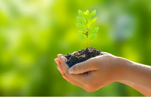 Deretan Manfaat Pemanas Kolam Renang Tenaga Surya