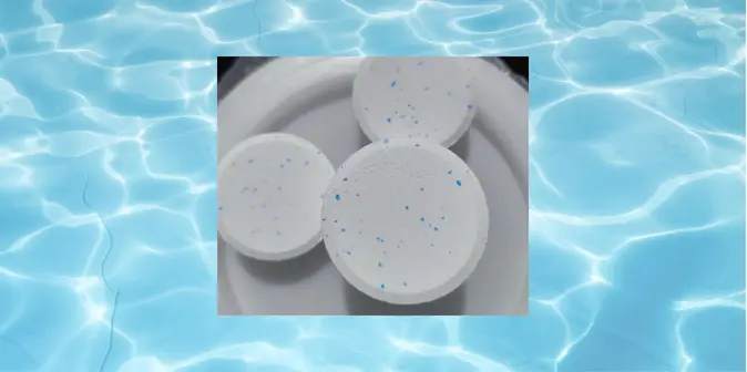 Jenis Algasida dan Mana yang Cocok Buat Kolam Renang?