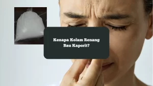 Bau kaporit. Kenapa kolam renang bau kaporit?