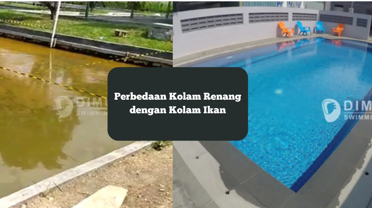 Perbedaan kolam renang dengan kolam ikan.
