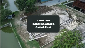 Proyek kolam renang jadi kolam ikan di Cikarang.