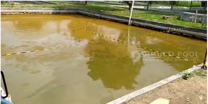 Perbedaan Kolam Renang dengan Kolam Ikan