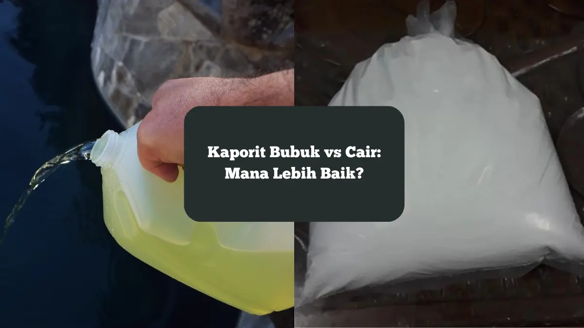 Kaporit bubuk vs cair. Mana yang lebih baik?