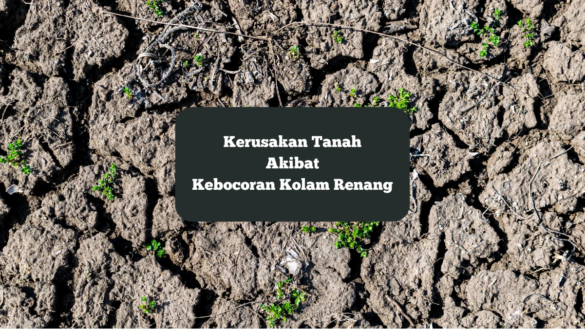 Ilustrasi kerusakan tanah. Ini bisa terjadi karena kebocoran kolam renang.