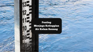 Ilustrasi ketinggian air kolam renang. Penting Menjaga hal tersebut.