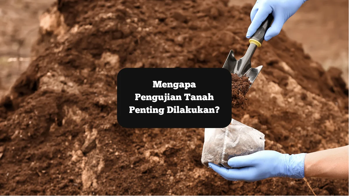 Ilustrasi pengujian tanah. Penting dilakukan sebelum konstruksi kolam renang.