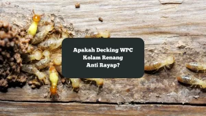 Ilustrasi rayap pada decking wpc. Apakah decking WPC kolam renang anti rayap?