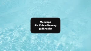 Ilustrasi air kolam renang berkabut. Mengapa bisa jadi warna putih?
