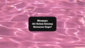 Ilustrasi air kolam renang berwarna ungu. Mengapa bisa terjadi?