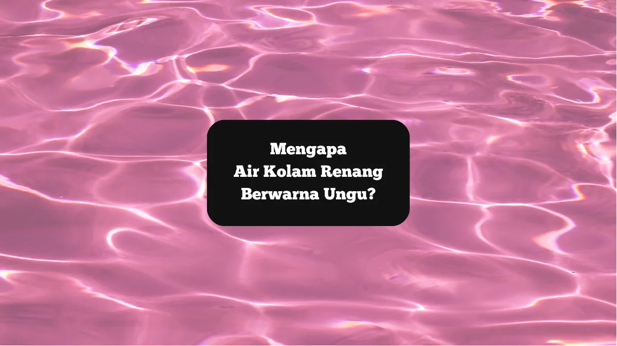 Ilustrasi air kolam renang berwarna ungu. Mengapa bisa terjadi?