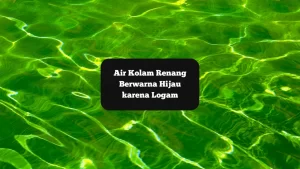 Ilustrasi air kolam renang hijau. Ini bisa disebabkan karena logam.