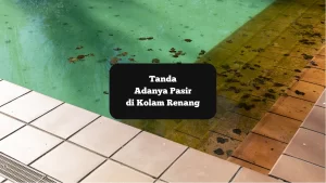 Ada Pasir di Kolam Renang? Awas! Bisa Jadi Filter Rusak