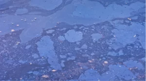 Ilustrasi air berminyak. Begini cara menjernihkan kolam renang berminyak.