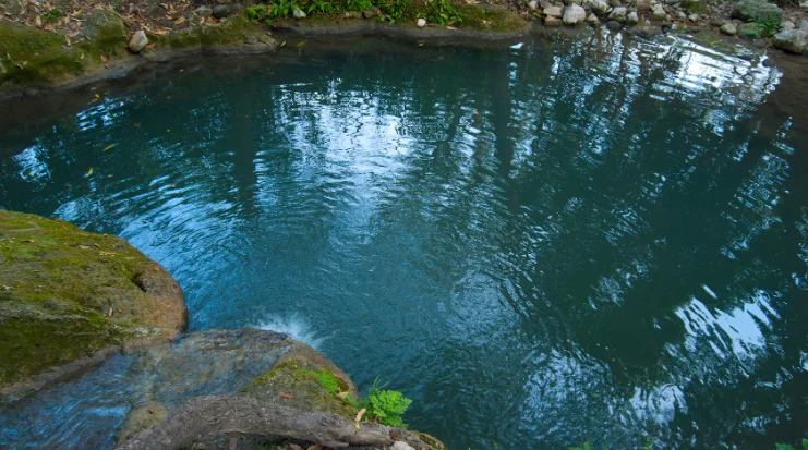 Ilustrasi kolam natural. Ini kelebihan dan kekurangan kolam natural.