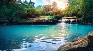 Ilustrasi kolam natural. Ini cara kerja kolam natural yang anti kaporit!