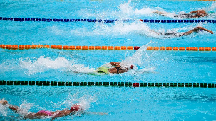 Ilustrasi kolam renang rumah. Ini jenis instalasi dan bentuk yang direkomendasikan.