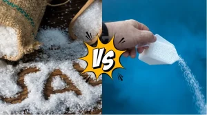Ilustrasi garam dan kaporit. Ini perbandingan kaporit vs garam untuk kolam renang.