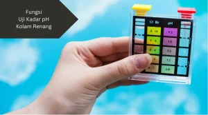 Ilustrasi pH. Ini fungsi uji kadar pH kolam renang.