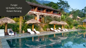 Kolam renang dengan lanskap tanaman. Ini fungsi uji kadar fosfat kolam renang.