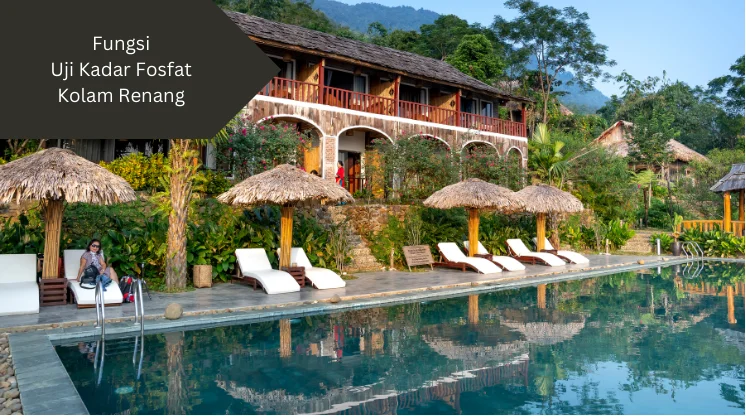 Kolam renang dengan lanskap tanaman. Ini fungsi uji kadar fosfat kolam renang.