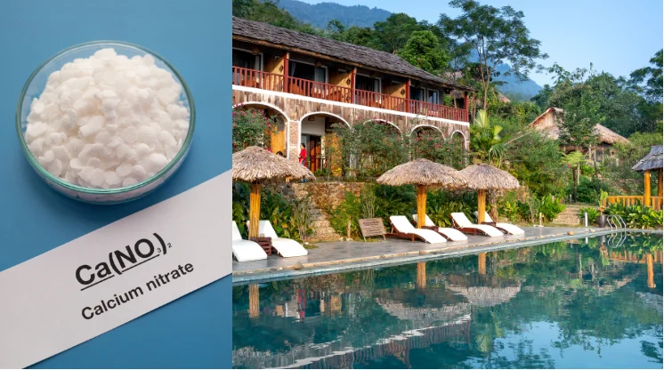 Nitrat dan kolam renang dengan lanskap tanaman. Ini fungsi uji kadar nitrat kolam renang.