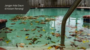 Ilustrasi daun di kolam renang. Awas jangan sampai terjadi.