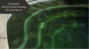 Ilustrasi ganggang hijau. Penyebab keramik kolam renang berubah warna.