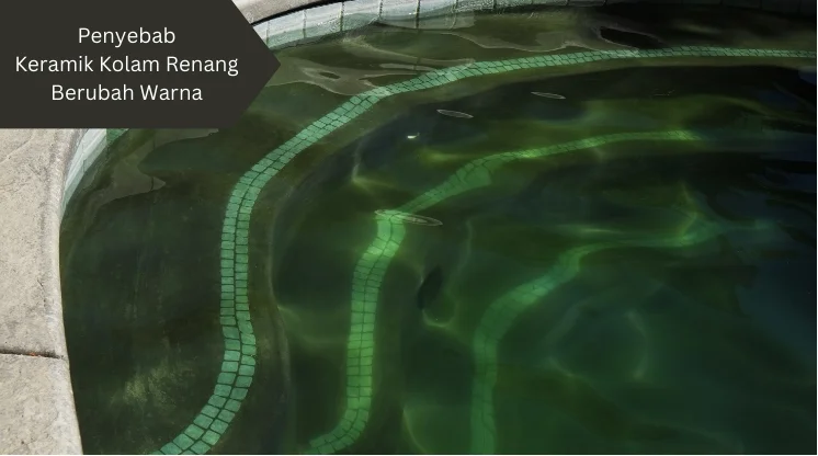 Ilustrasi ganggang hijau. Penyebab keramik kolam renang berubah warna.