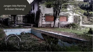 Ilustrasi kolam renang tidak terawat. Ini masalah jika ada ranting di kolam renang.