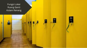 Ilustrasi loker ruang ganti kolam renang. Apa sih fungsinya?