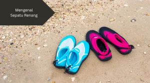 Ilustrasi sepatu renang. Ini semua yang perlu anda ketahui.
