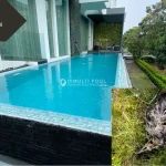 Ilustrasi bangkai. Lakukan ini saat ada bangkai hewan masuk ke kolam renang.