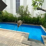 Ilustrasi nyamuk dan kolam renang. Ini alasan dan mencegah kolam renang banyak nyamuk.